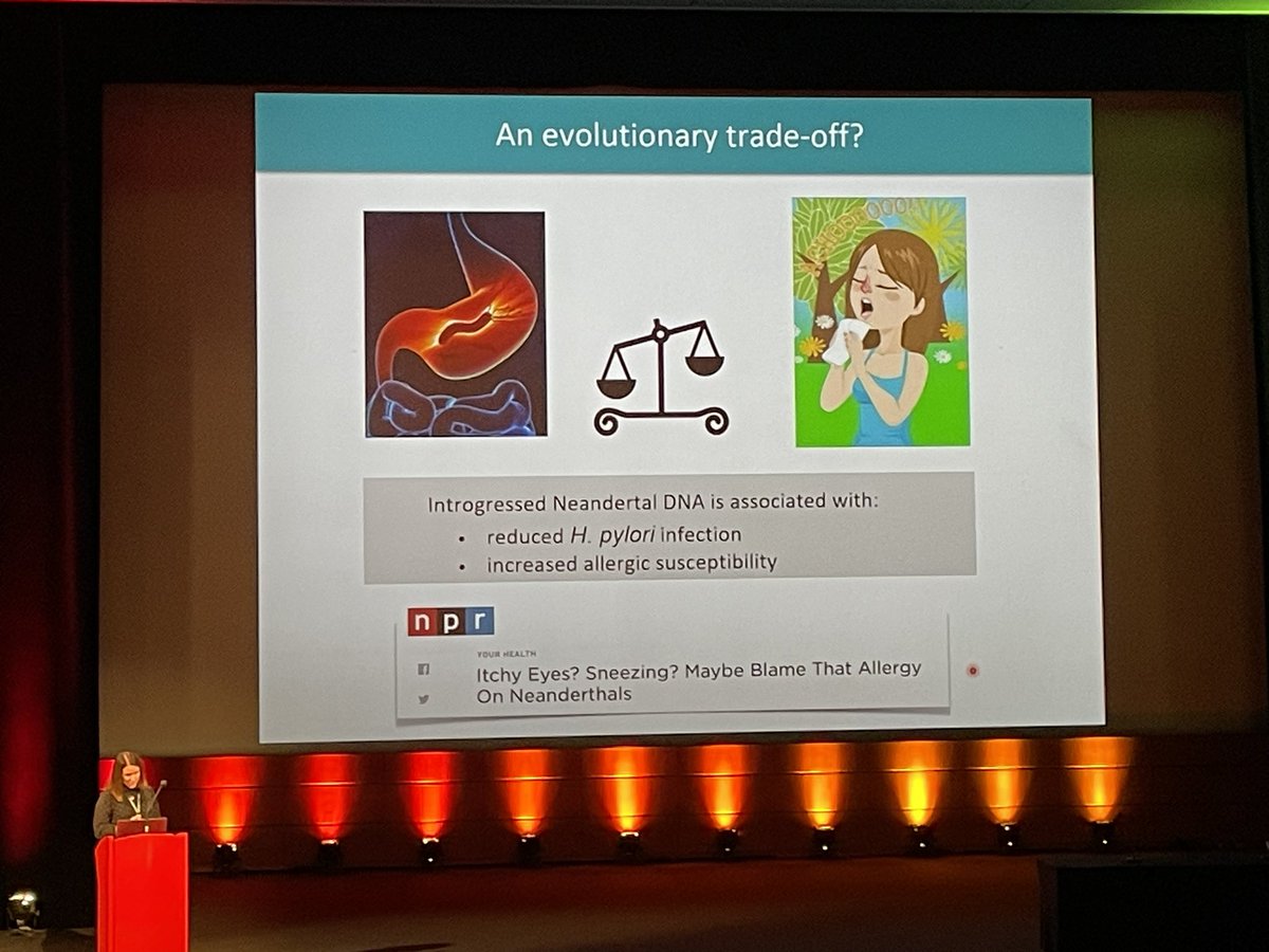 Aditeya Pandey (@aaditeya) on Twitter photo Very interesting keynote talk at #ISMB2023 by <a href="/jfkelso/">Janet Kelso</a> , reflecting on how studying DNA of our ancestors can be a window into lives of modern humans. Plus a very intriguing finding that people suffering with allergies could be an artifact of Neanderthal ancestry. #genomics Very interesting keynote talk at #ISMB2023 by <a href="/jfkelso/">Janet Kelso</a> , reflecting on how studying DNA of our ancestors can be a window into lives of modern humans. Plus a very intriguing finding that people suffering with allergies could be an artifact of Neanderthal ancestry. #genomics