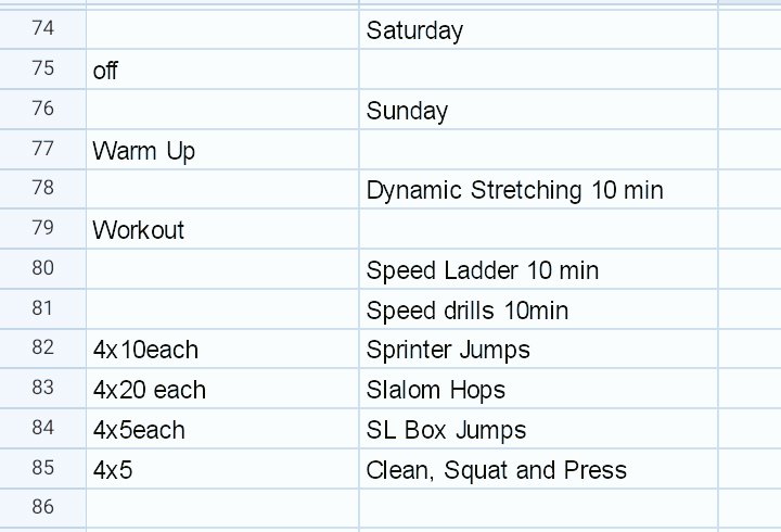 Palozzidevin's tweet image. #WorkoutProgram #VASO #Speed