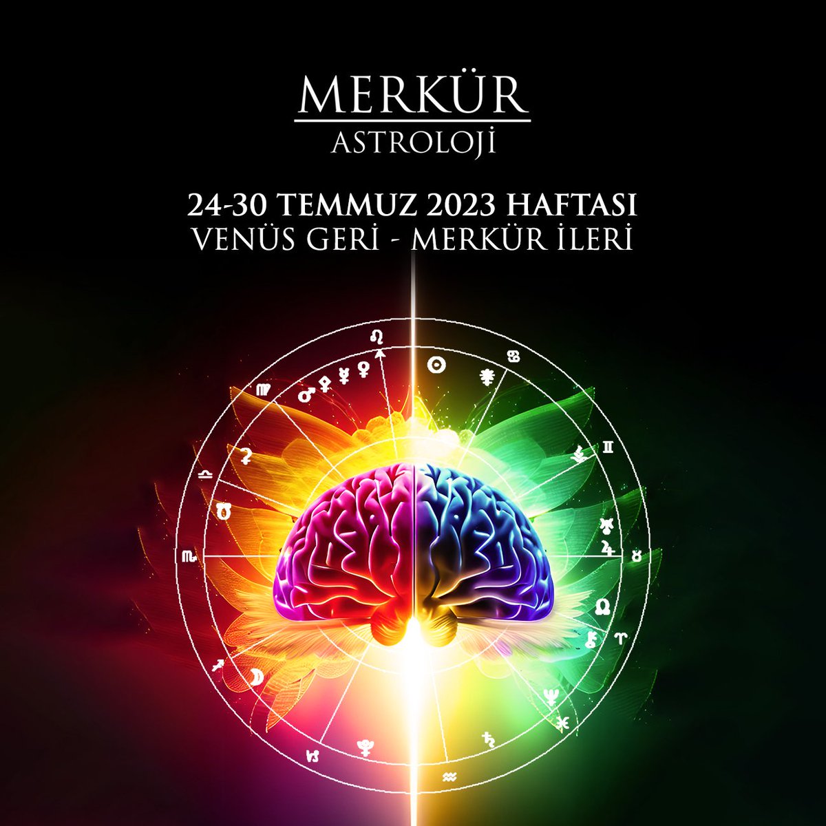 Merve Çubuktepe tweet media
