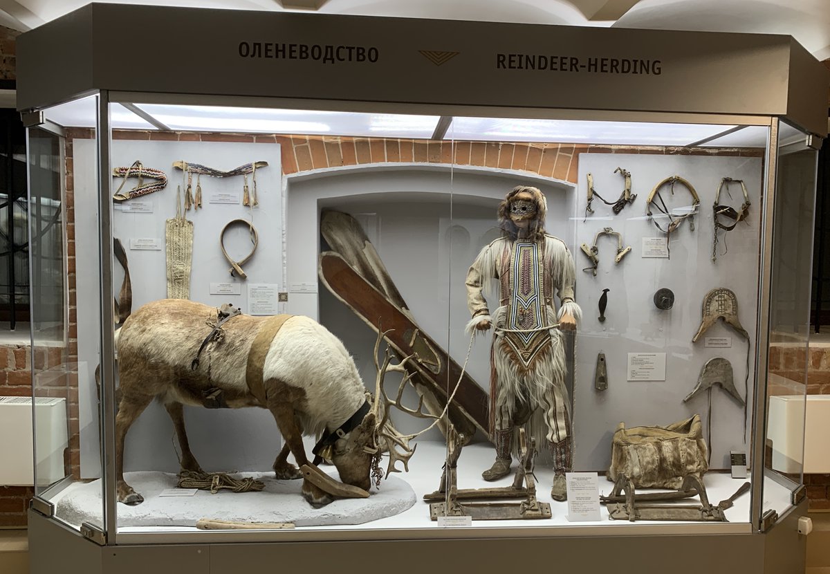 mehmetolmeztr's tweet image. Geyik çobanları / #Reindeers
Sibirya Yerel Tarih Müzesi / Novosibirsk