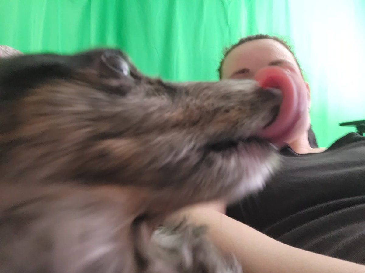 madamescarlet's tweet photo. Trying to take selfies with my tiny monster dog. https://t.co/PHdqhykPvT