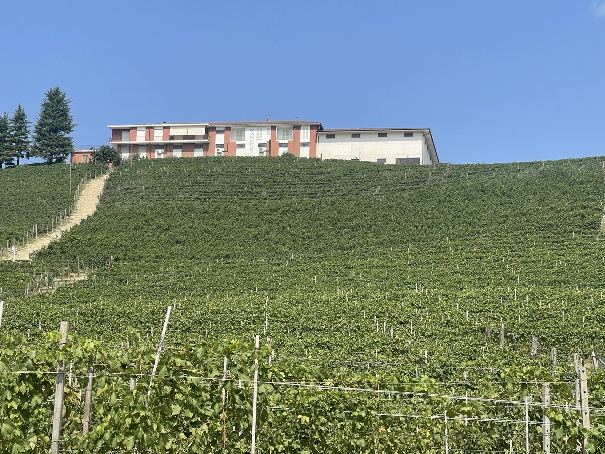 Days like this. Wonderful way to spend a Sunday with Chiara Boschis visiting her #cannubi and #mosconi #vineyards in #Barolo and tasting her wonderful 2019 Barolo