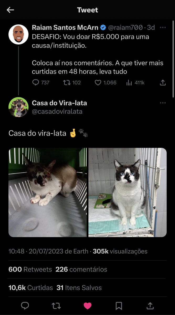 lorenaaorsi's tweet photo. esse asqueroso foi um escroto com a @casadoviralata que é uma instituição de resgate à animais de rua
vou deixar o pix deles aqui pra tentar ajudar de alguma forma depois desse mau caratismo absurdo e falsa esperança que esse lixo deu e fez
é uma ong de muito respeito e que+ https://t.co/kiziCjBz5n