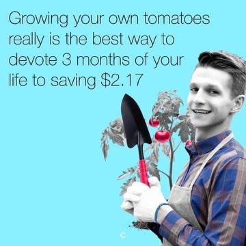 DentonRon's tweet photo. Not sure what I’m doing wrong but these tomatoes are ridiculous! https://t.co/oFPEG2TCPr