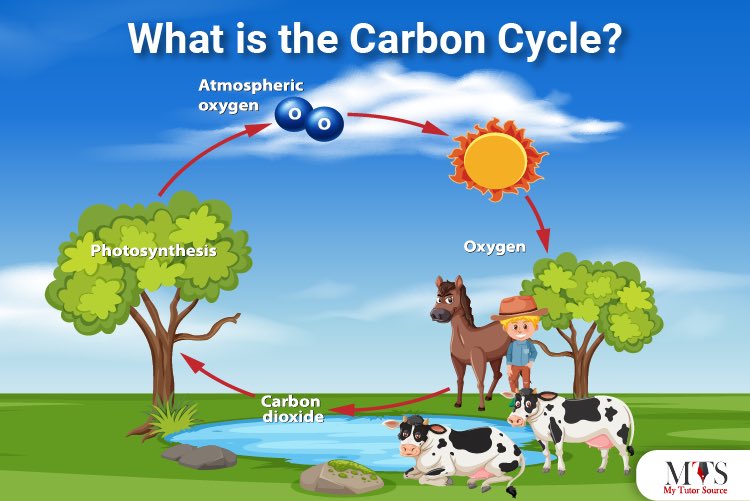 NotJackDeth's tweet photo. @JohnBoweActor Friendly reminder that CO2 is ~required~ to sustain life as we know it on Earth https://t.co/jJNpE0cvxz