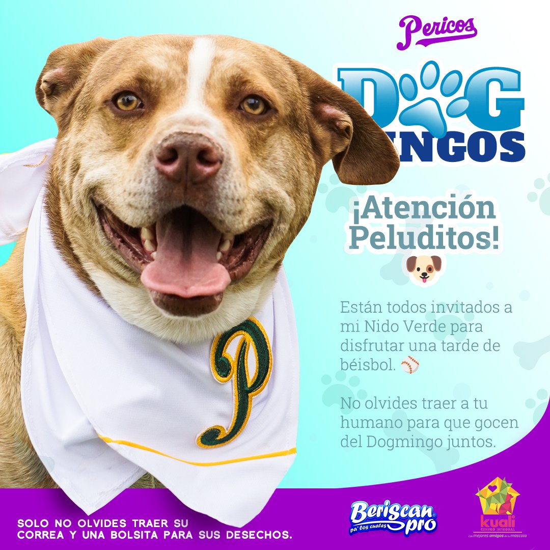 Pericos_Oficial's tweet photo. ¡Ya es Dogmingo! 🐶

Pericles espera a todos sus amigos peluditos en el Nido Verde. 💚
Recuerda traer su agua, correa y bolsita. 😎

#JuntosPorEl6 ⚾ https://t.co/sIGYjeEsKT