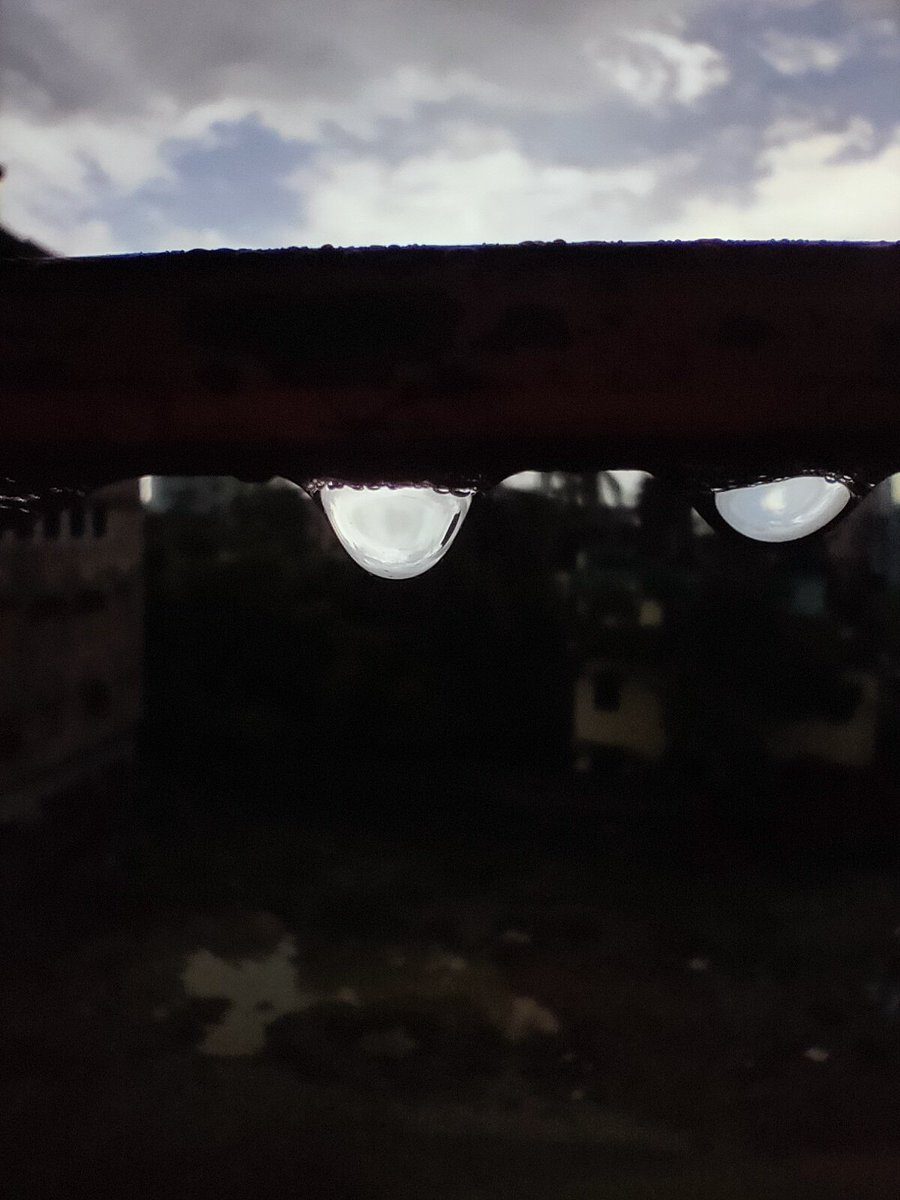 Troyee_CK1's tweet photo. A drop of rain
#Rain #sky #nature https://t.co/18dXQDvcDl