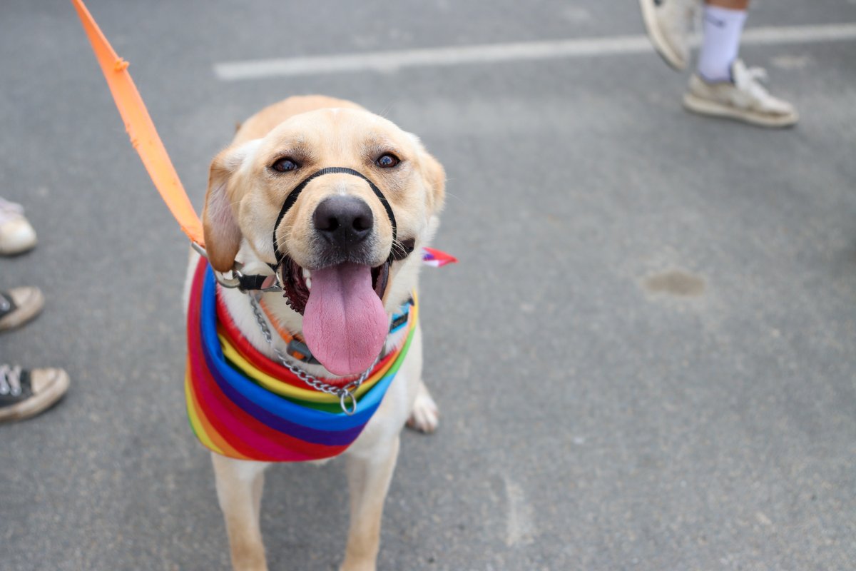 UNB REDS tweet media