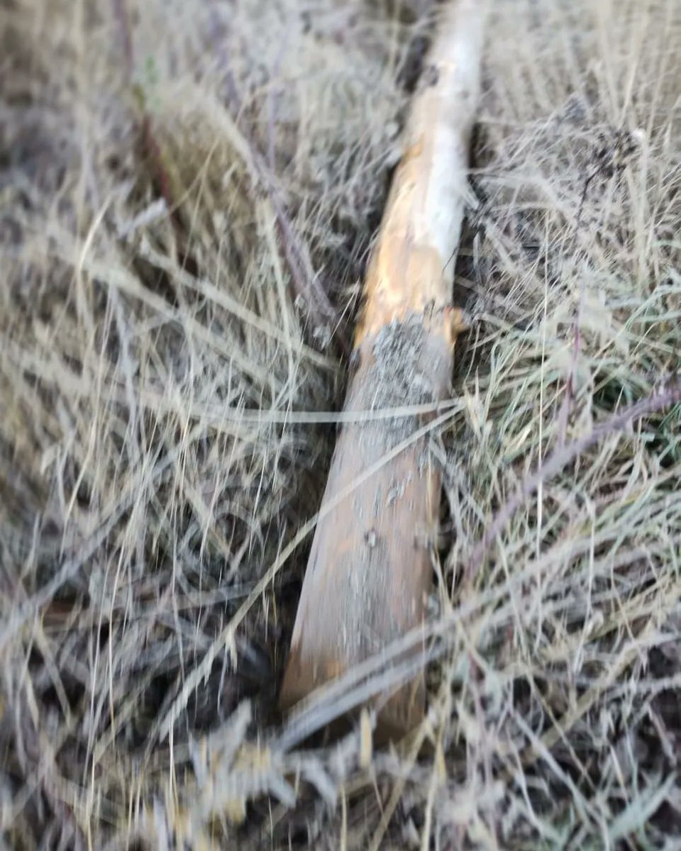 Pol Huisman tweet media