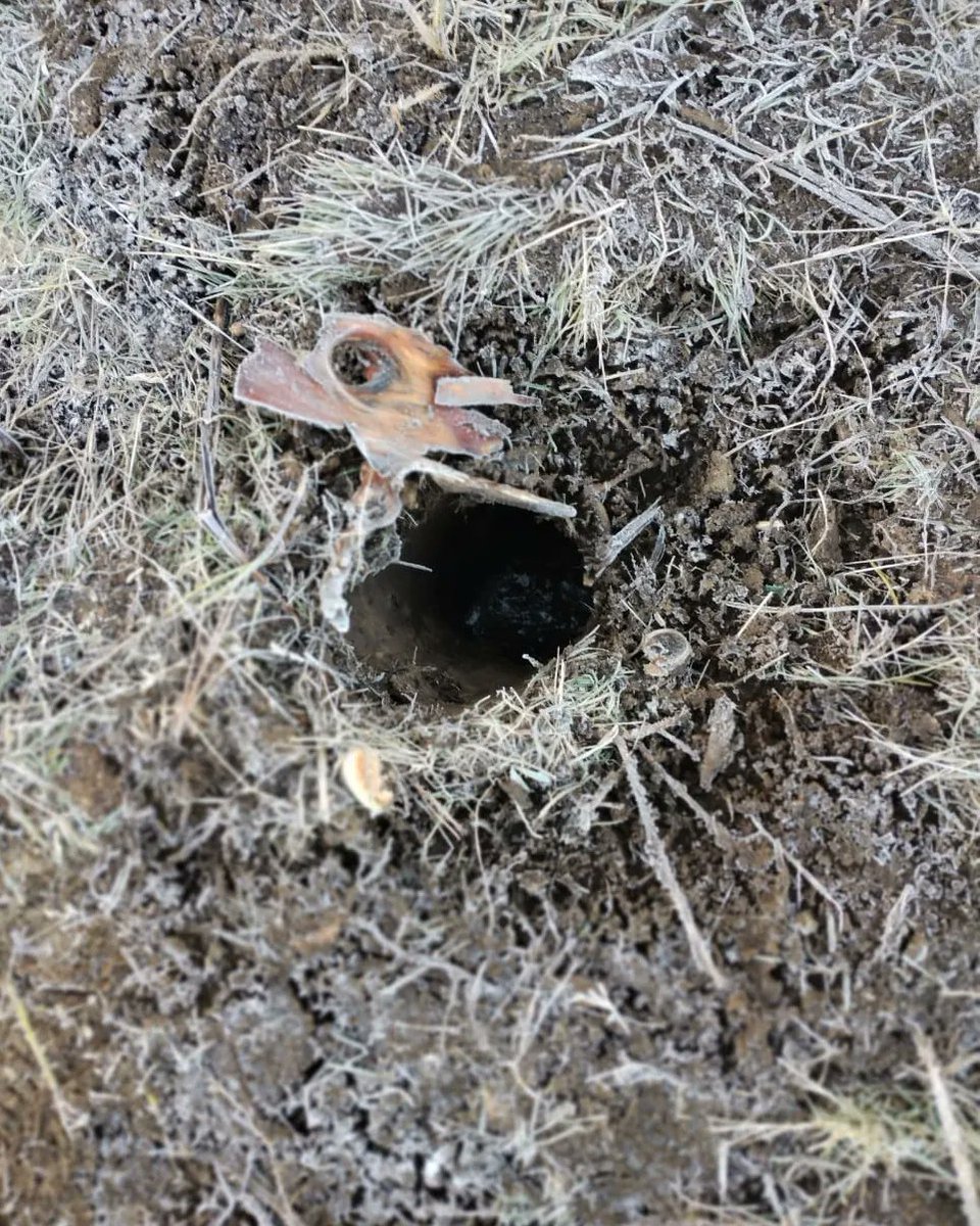 Pol Huisman tweet media