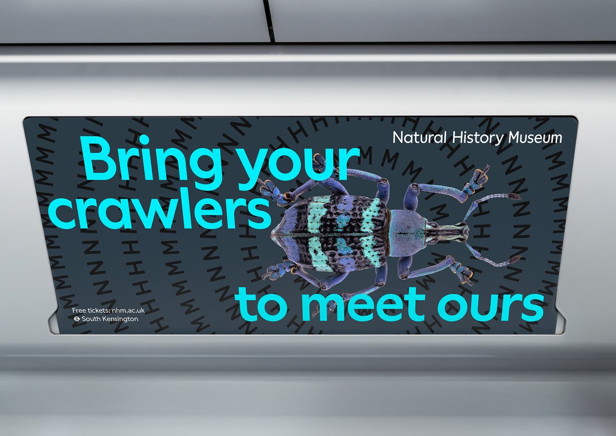 Creative Review tweet media