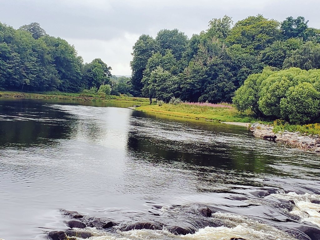 blonde_on_bikes's tweet photo. Melrose /Newstead loop managing to avoid the rain π§
#RiverTweed #MelrosePaths #ScottishBorders #SundayWalk https://t.co/QXICpWmNDF