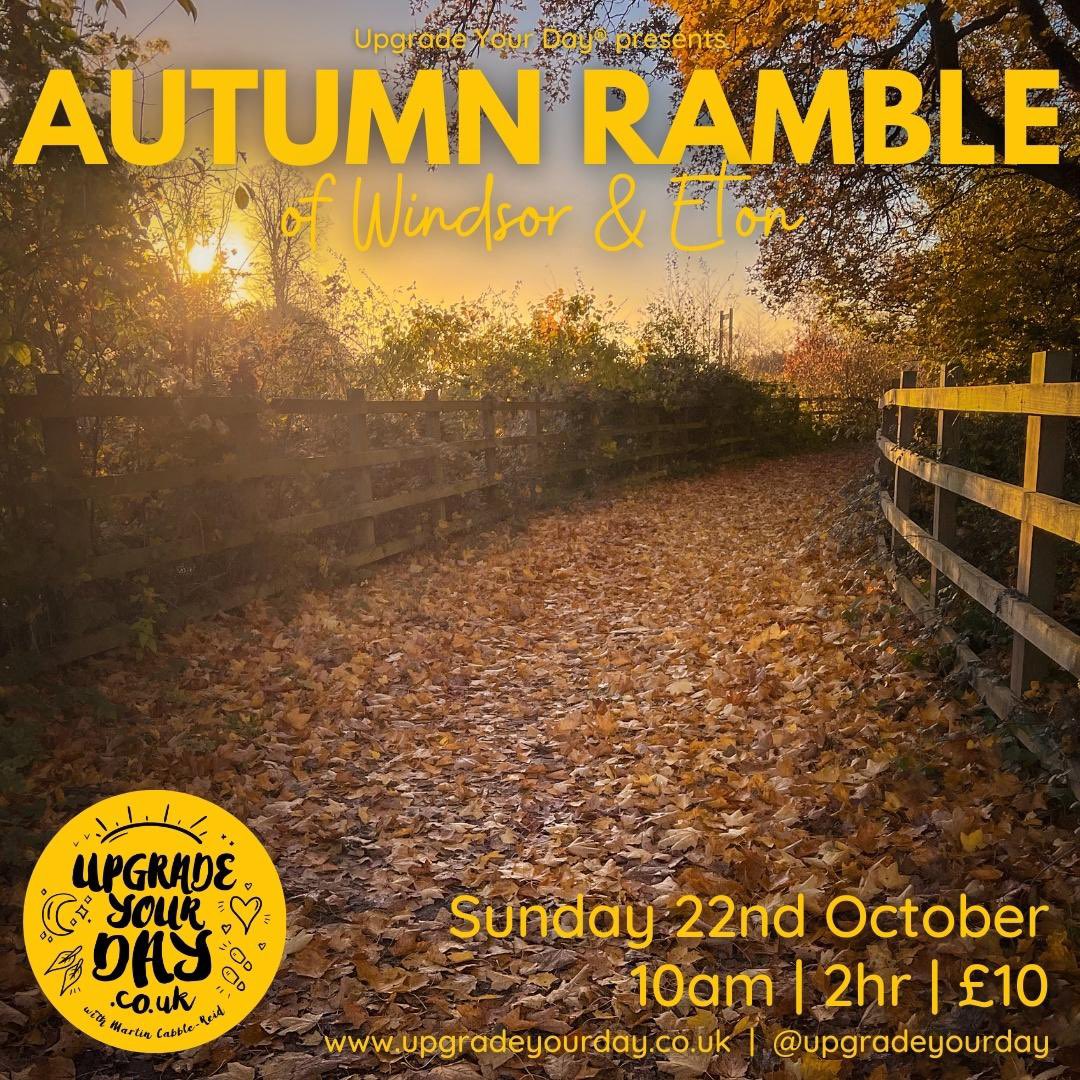 Martin Cabble-Reid | Upgrade Your Day tweet media