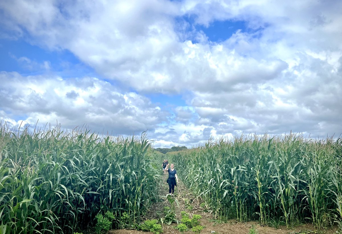 Martin Cabble-Reid | Upgrade Your Day tweet media