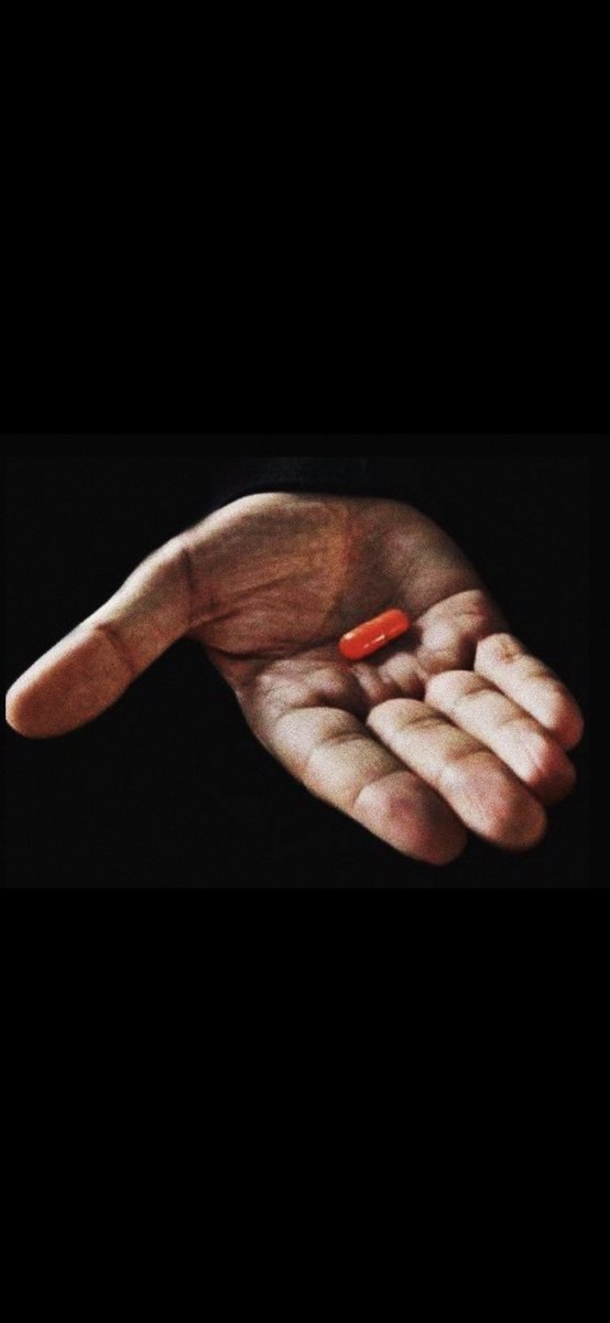 𝘀𝗰𝗮𝗿𝗱𝘆𝘆 tweet media