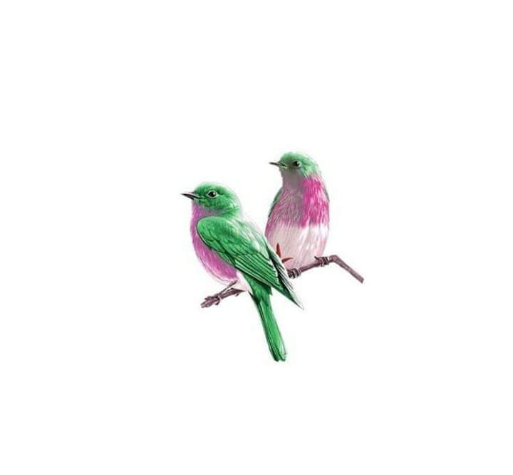 افعل ما استطعت من الخير فإنك لا تدري في أي ساعة تُبسَط لك الرحمة ولا بأي عمل تبلغ الجنّة