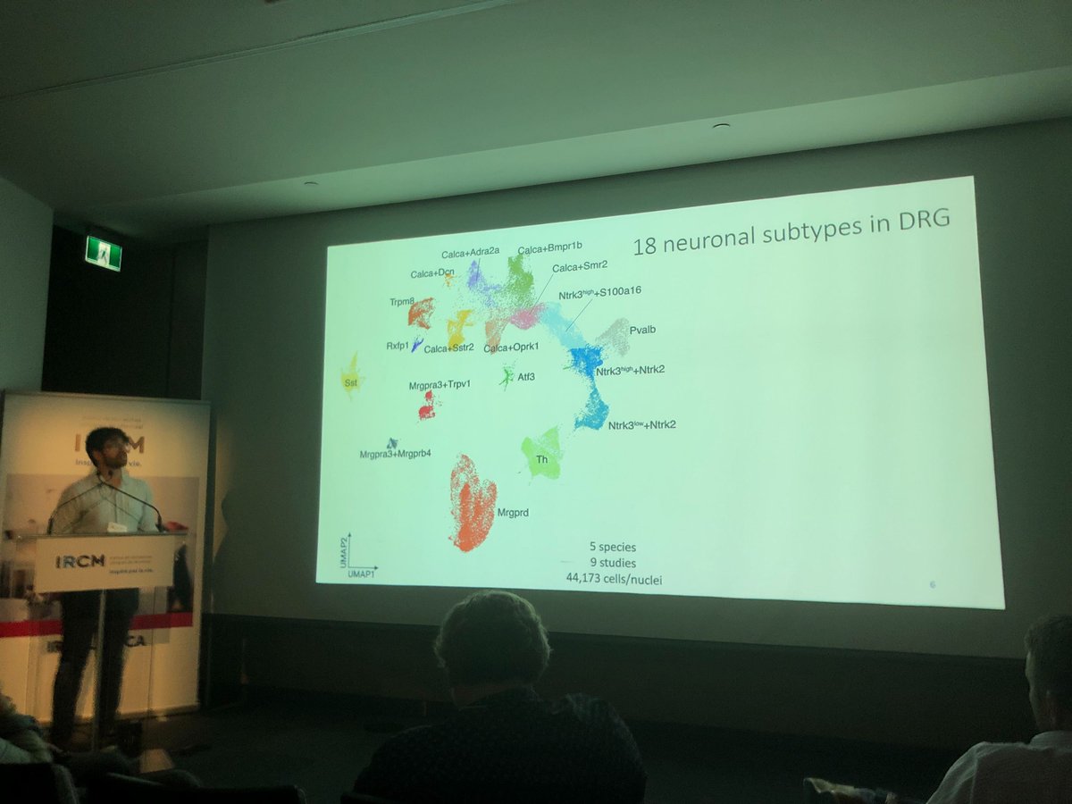 Fun times at #MtlPainCircuits connecting with pain scientists and learning about cutting edge pain biology from around the world. Also, thank you for the chance to talk about the harmonized DRG and TG atlases! Preprint of the work: biorxiv.org/content/10.110…