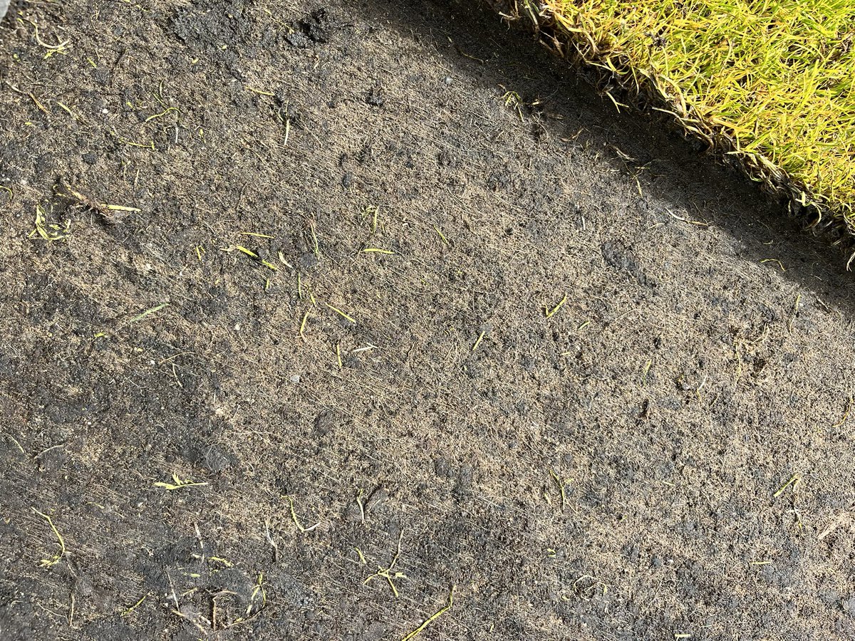 FAI Dublin pitch 1. Koro off back down to fibre sand. And top drain pitch. Even with all the rain.