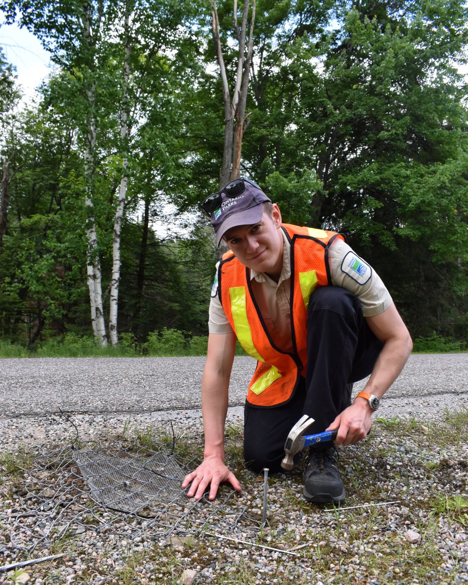 It’s #StaffSunday here at Bon Echo! 

Meet Conrad, one of our dedicated Discovery Leaders.

Conrad is passionate about getting to know Bon Echo’s campers. Stop by the Visitor Centre to say hello on your next trip to the park! 

#OntarioParks #Discovery