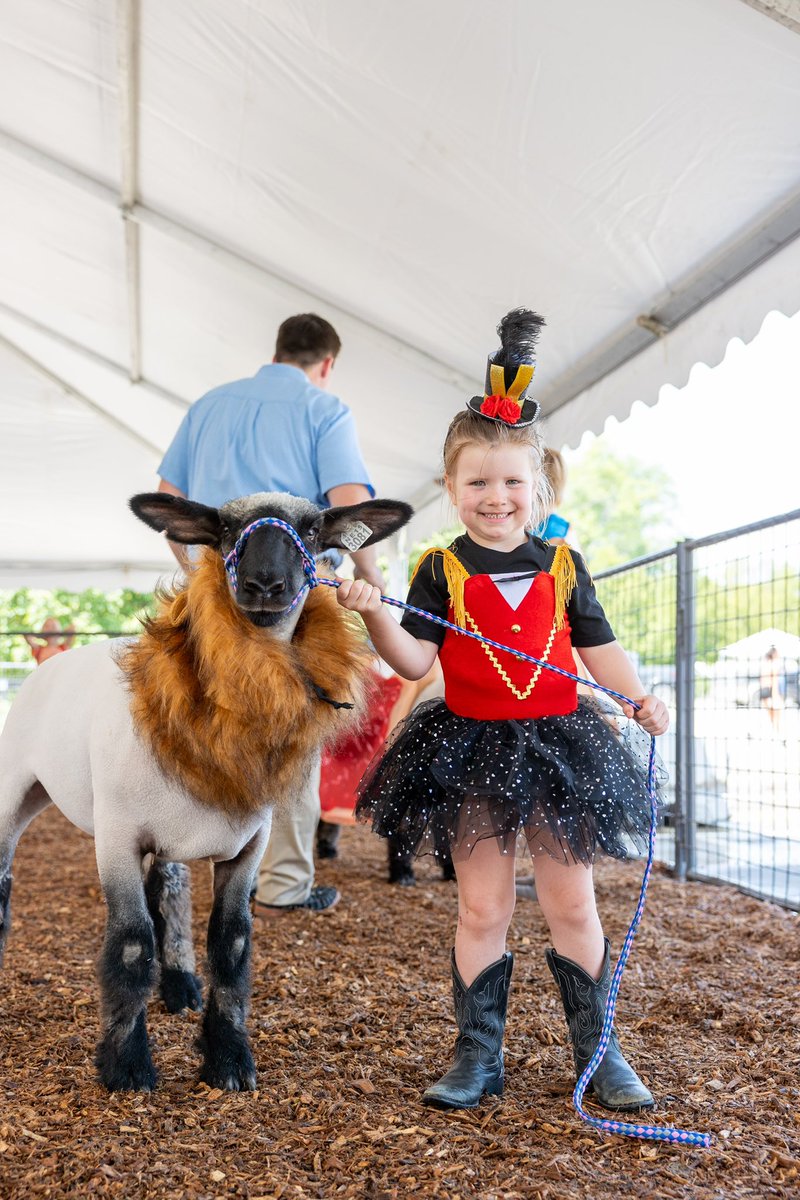 DouglasCoFairNE's tweet photo. We had some great exhibitors at our livestock shows this weekend. Here are a few pictures incased you missed them. @RalstonArena https://t.co/QYiez0B8qg
