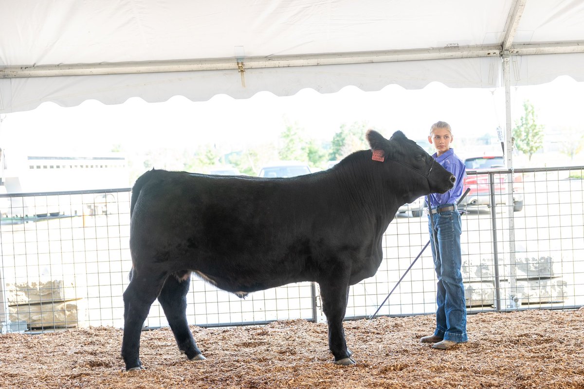 DouglasCoFairNE's tweet photo. We had some great exhibitors at our livestock shows this weekend. Here are a few pictures incased you missed them. @RalstonArena https://t.co/QYiez0B8qg