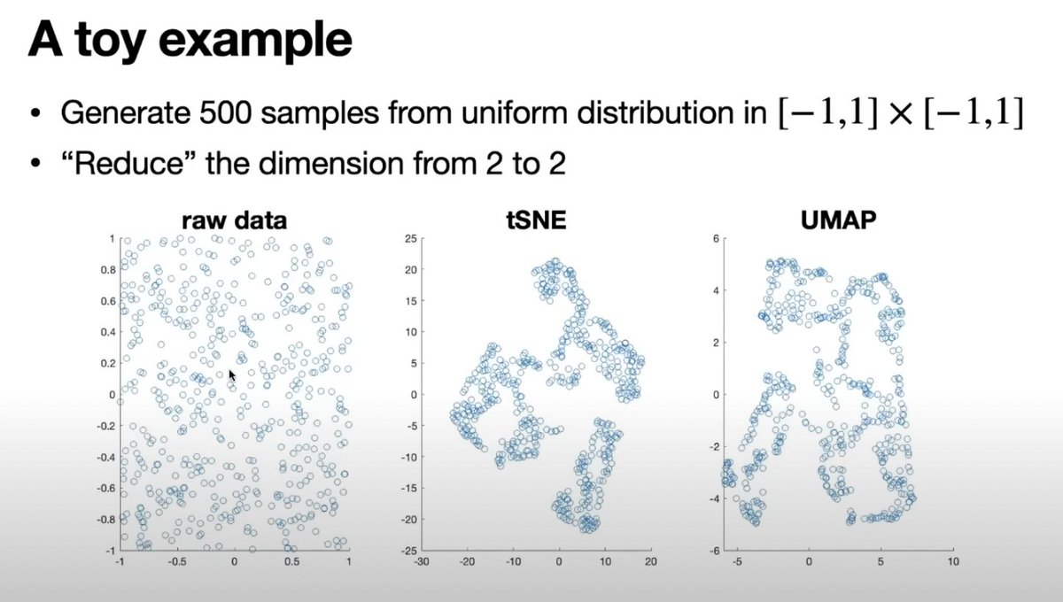 This toy example may change how you look at tSNE &amp; UMAP.

They find clusters in the most uniform data possible.