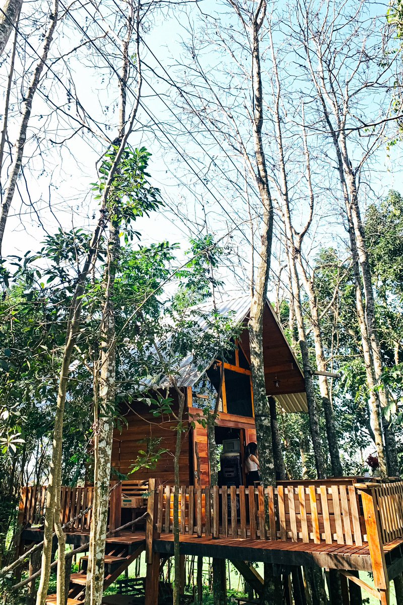 ttdocesar's tweet image. Eu tô muito afim de propor ao meu cunhado ele me alugar essa cabana pra morar… sério!!