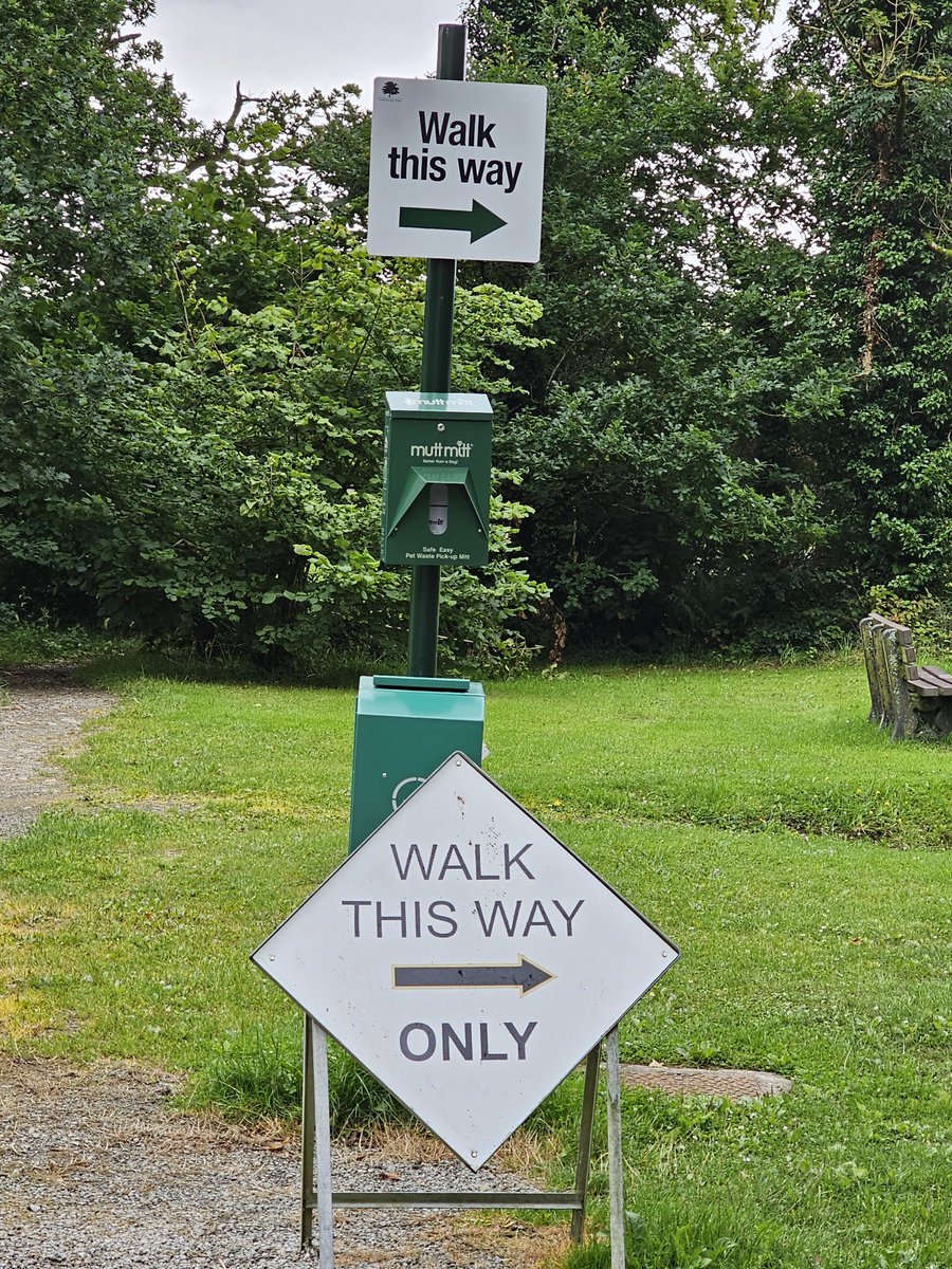 Emily Ross tweet media