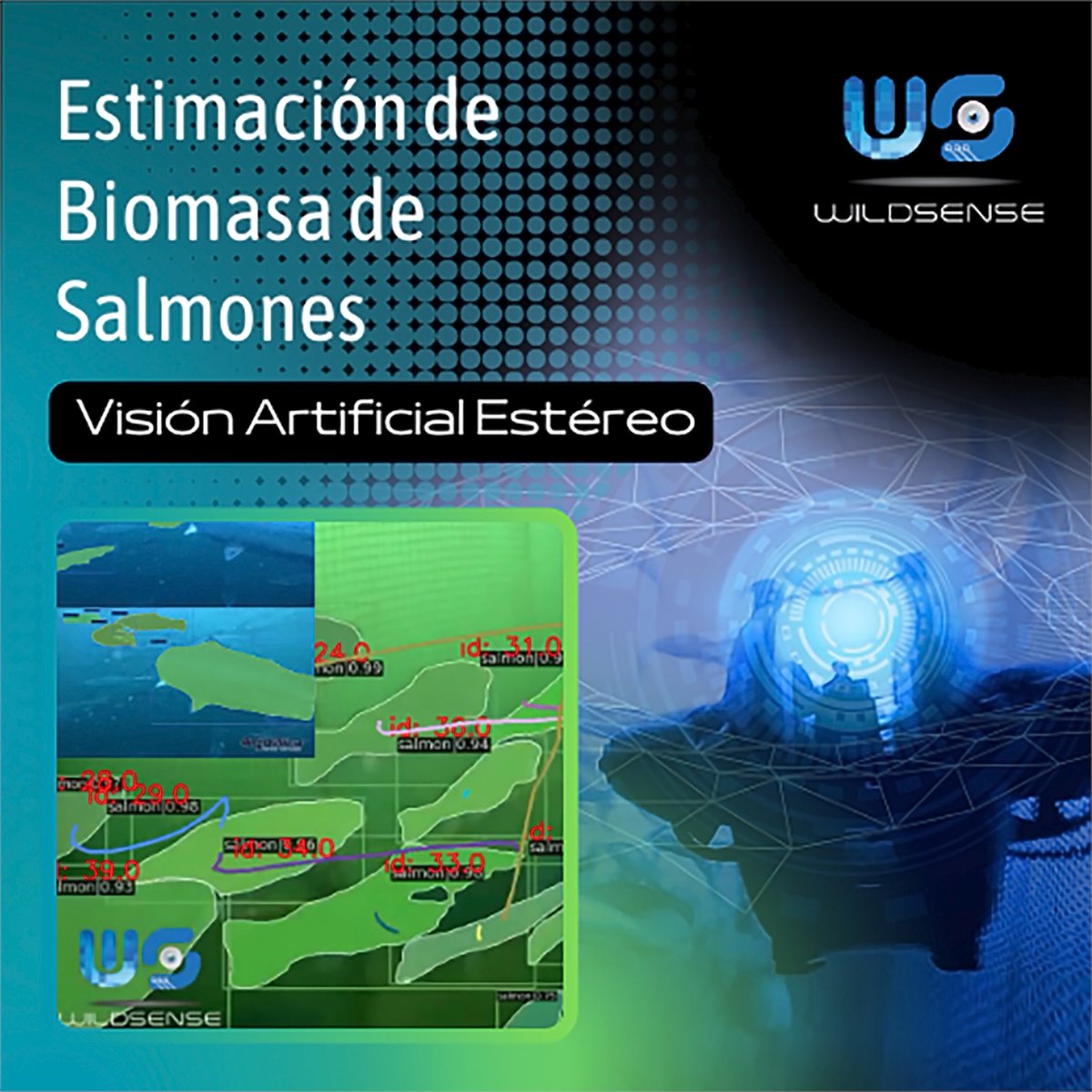 WildsenseL's tweet photo. Estimación de Biomasa e Inspección de Mallas de Cultivos respecto a la Salmonicultura Oceánica:

Ø Estimación de Biomasa de Salmones
Ø Inspección de Mallas para Cultivo asociado a la Salmonicultura

Contáctanos para resolver tus dudas o consultas!

#salmonicultura #salmoneras https://t.co/oJiOrFGQHs