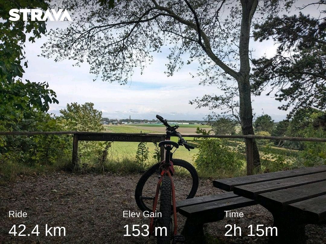 Noordwijkerhout strava.app.link/dpJmJu6TFBb