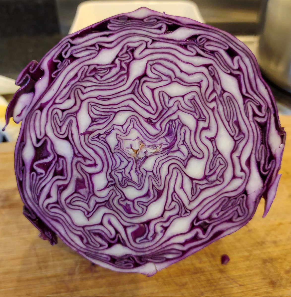 Spondon Bongles tweet media