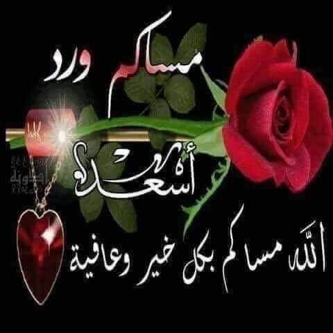Nothink438214's tweet photo. @Mrzamox1 https://t.co/JvmSaKGy4w
