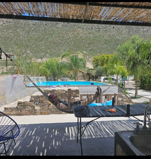 markserpico tweet media