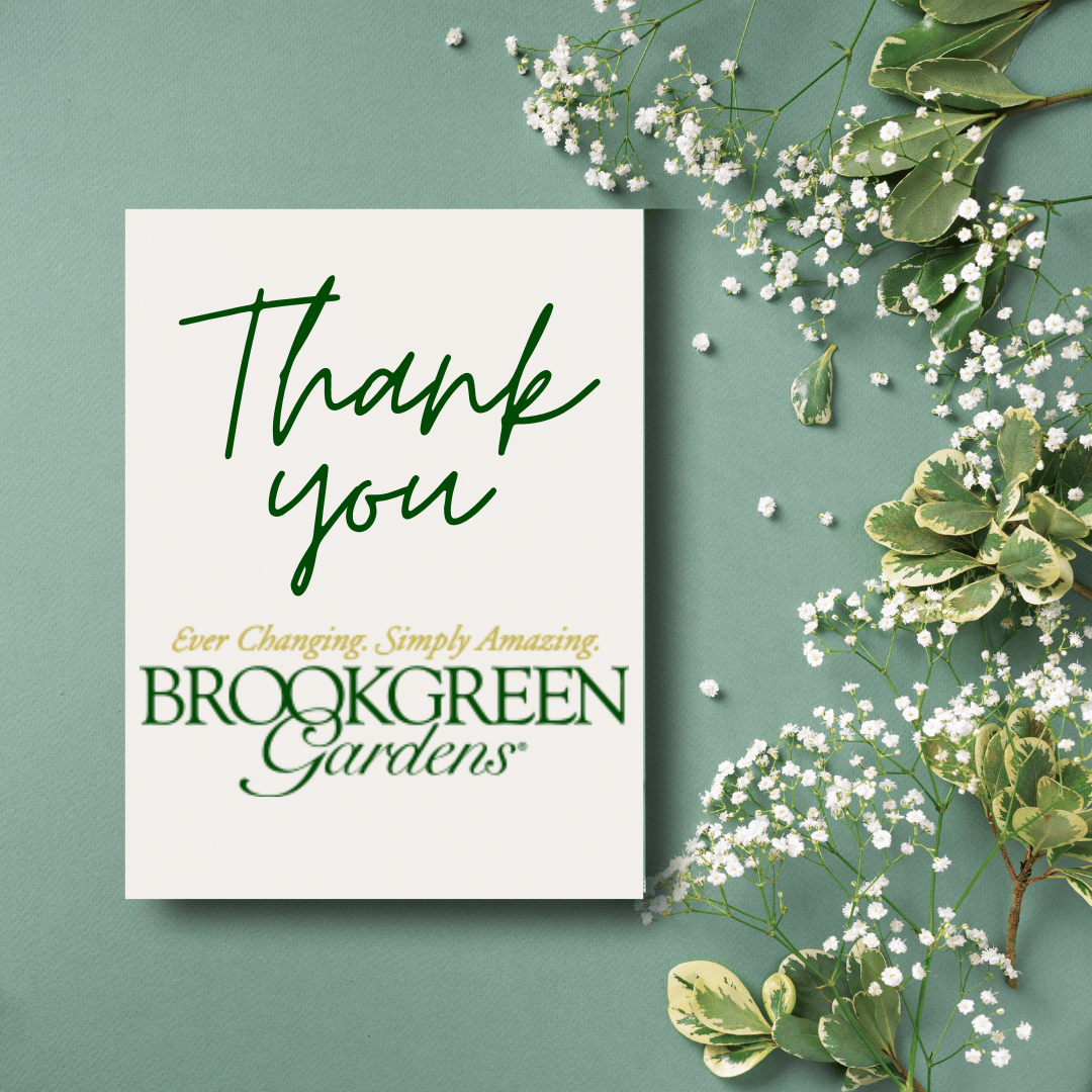 Please join AWA as we thank @brookgreensc for hosting Pushing Forward Reaching Back. 

What an incredible venue! We are grateful to the staff and volunteers who helped make our museum show a success.

#AWA25in25 #AWABrookgreen2023 #PushingForwardReachingBackShow #womenartists
