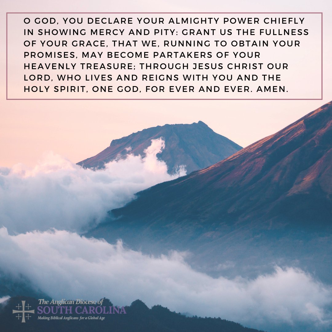 Anglican Diocese of SC tweet media