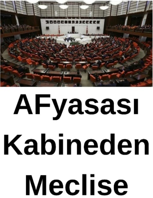 AFyasası KabinedenMeclise