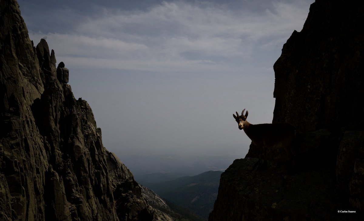 suarezclimb's tweet photo. La tierra prometida. Los Galayos! https://t.co/qhKbW0pJWP