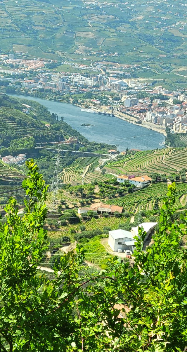 AshConsultingGr's tweet photo. Porto, Portugal's Douro Valley π΅πΉ
#cellphonepics https://t.co/OZBcy1vykE