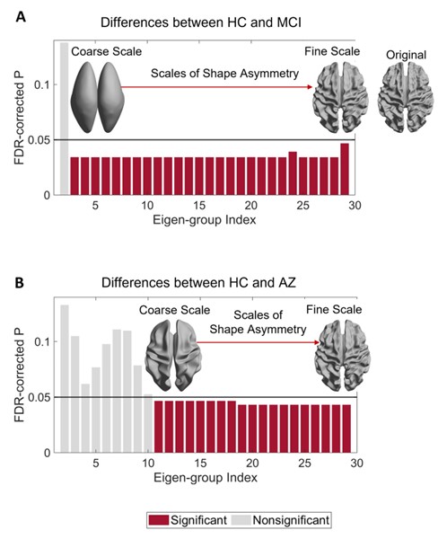 And dont forget that on Monday, you can come along to  talk to <a href="/cyctbdbw/">Yu-Chi Chen</a> at Poster #1108, where he used eigenmodes to examine cortical morphological asymmetries in mild cognitive impairment and Alzheimer's disease