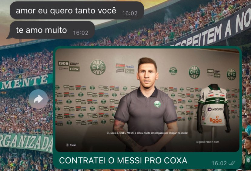 Pedro Zachow tweet media