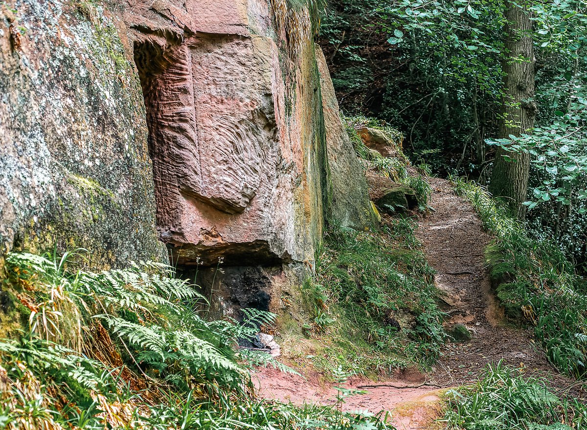 C15Leslie's tweet photo. Supposedly William Wallace's  cave he stayed in for the first battle for Scottish Independence in 1303🤯 https://t.co/Ep6ptEGsnV