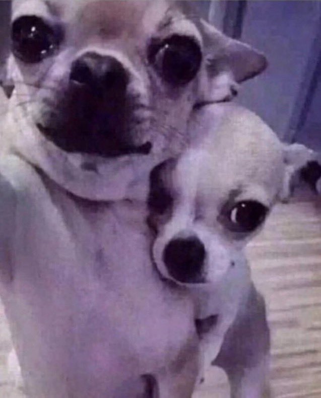 DigitalSpliff_'s tweet image. Lolllll