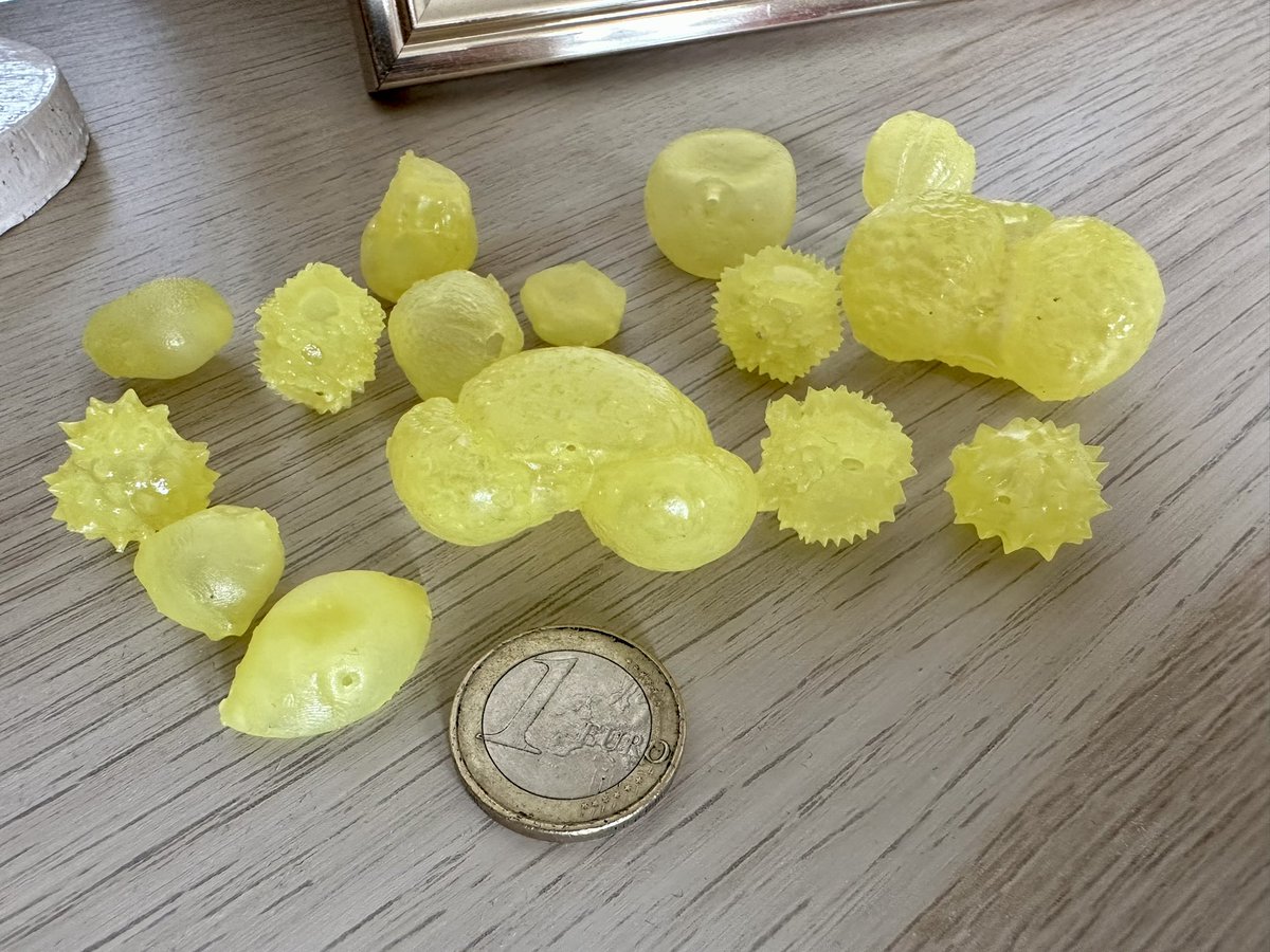 The 3D Pollen Project tweet media