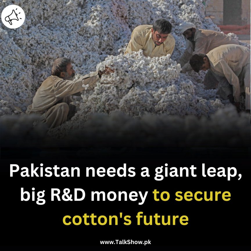 TalkShowPK's tweet photo. Owing to its #global relevance, #COTTON  production.  #Cotton Research: #Pakistan needs a giant leap, big R&amp;D money to secure cotton's future.

#PakistanBackOnTrack 
Prime Minister #ImranKhan #RemoveVCSamreenAsim #Bahawalpur https://t.co/923hB6EdLT
