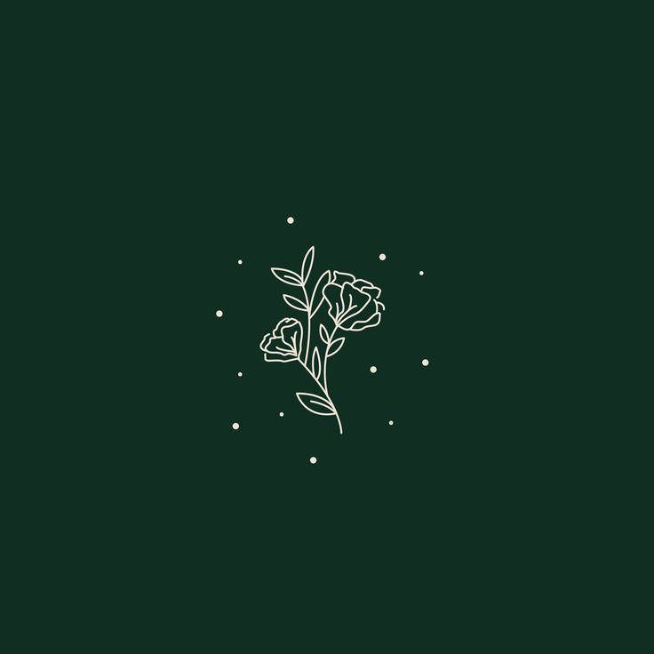 revamping .ᐟ 🌱 tweet media