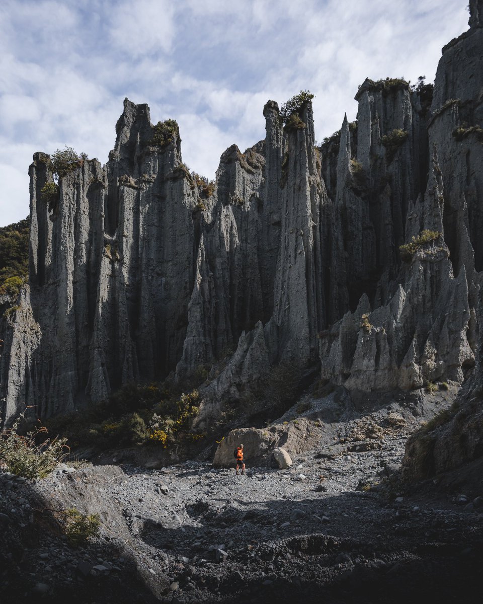 Good morning from New Zealand
