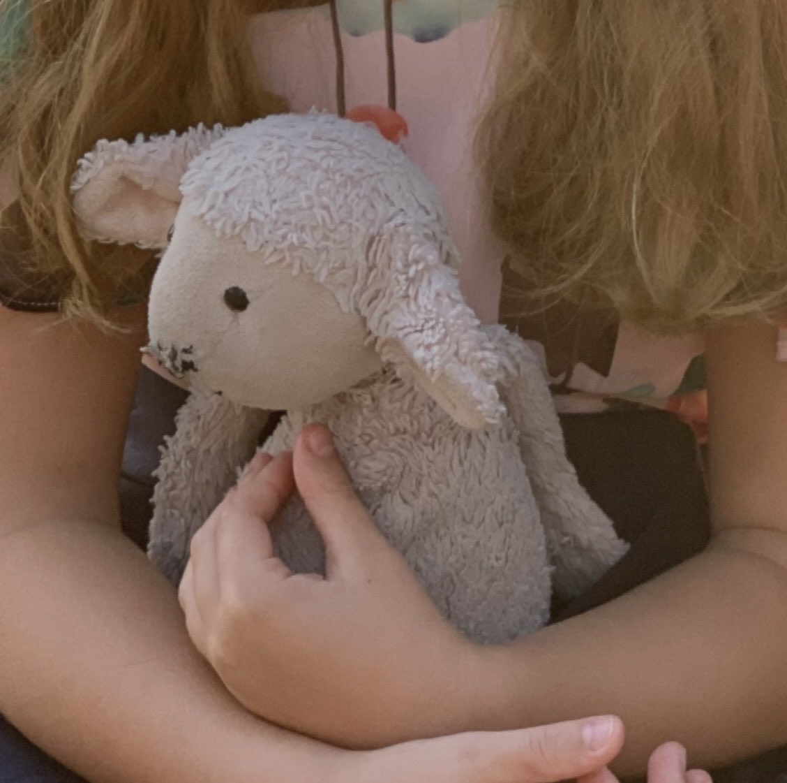 Anybody in #chelmsford high street today around 11am/12pm find this little sheep we think fell out of a bag it was tied too. Between parkway car park to WHSmith. Please get in touch urgently