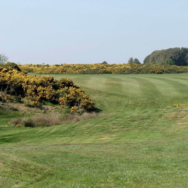 SuffolkPGA tweet media