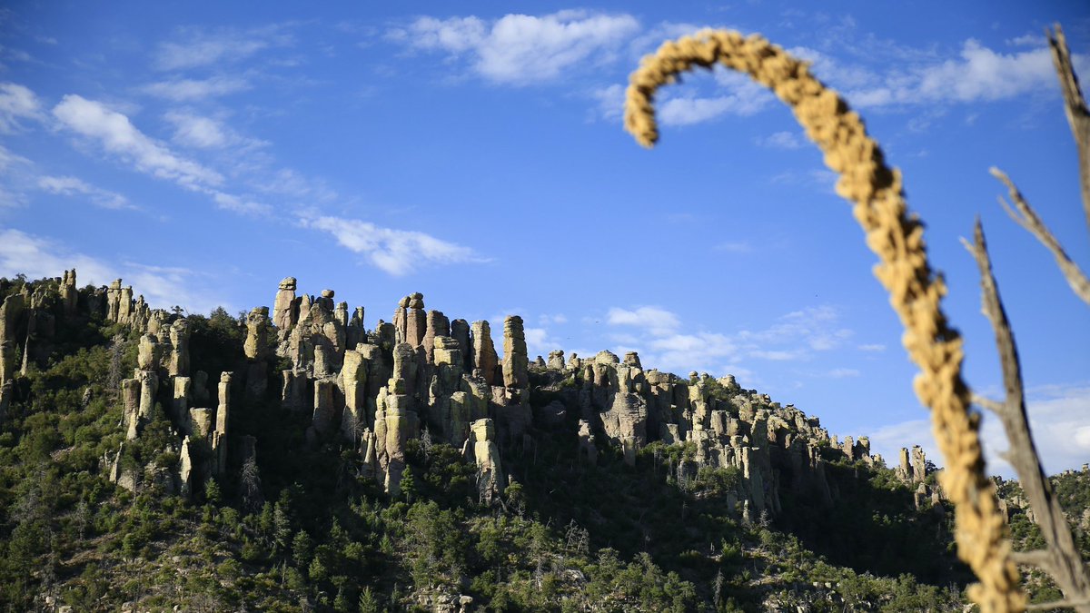 ThomasWayneRil1's tweet photo. Before the Chiricahua #Apache came to the area & called the place home & the Place of the Standing Up Rocks; before Apache, were the Chaco Anasazi Ancestral Puebloan cousins the #Mogollon. Many would head east after a cultural upheaval i’ve dubbed the Anasazi Civil War. https://t.co/0l71zipFSY