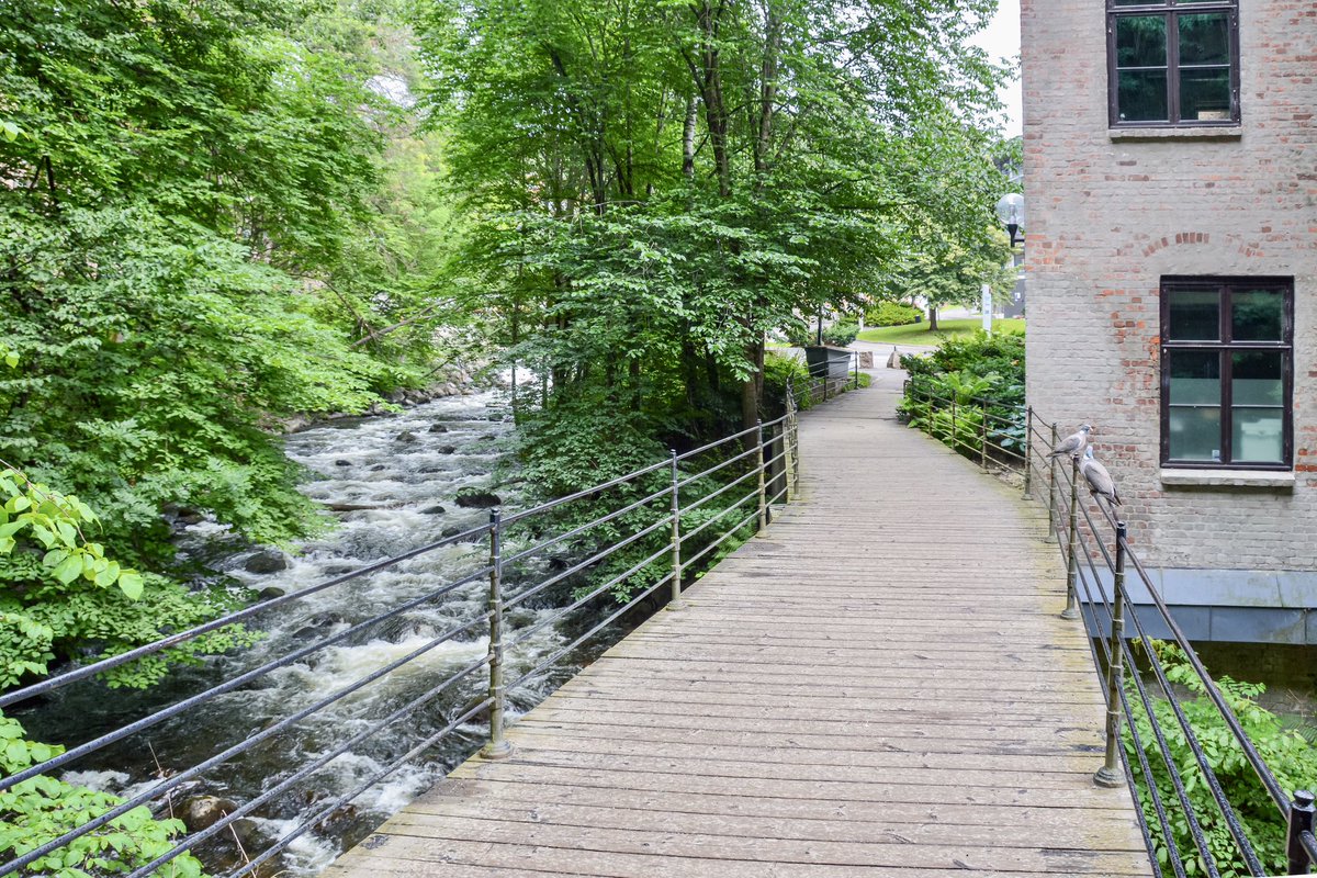 Cities can be architectural wonders with great public spaces and mobility networks; but without nature they remain incomplete.

As a “green lung” running through the heart of Oslo, the 8.2-km Akerselva River provides access to restorative nature for residents of Norway’s capital.